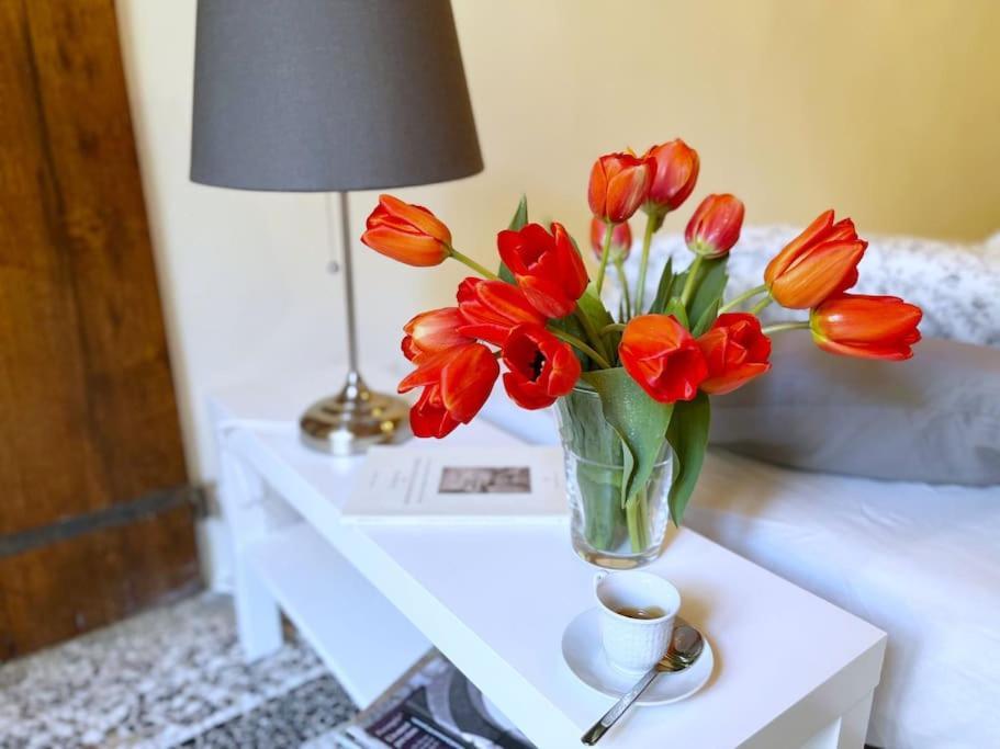 Il Canto De' Cenci Apartment 阿雷佐 外观 照片