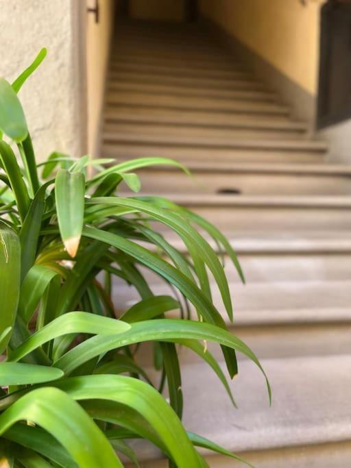 Il Canto De' Cenci Apartment 阿雷佐 外观 照片